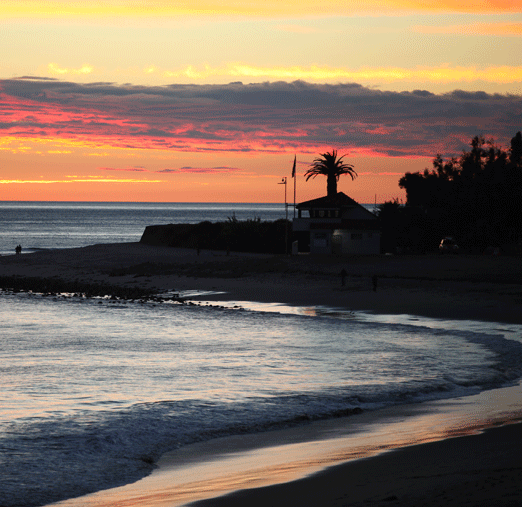 Don Argento VIDEOS image